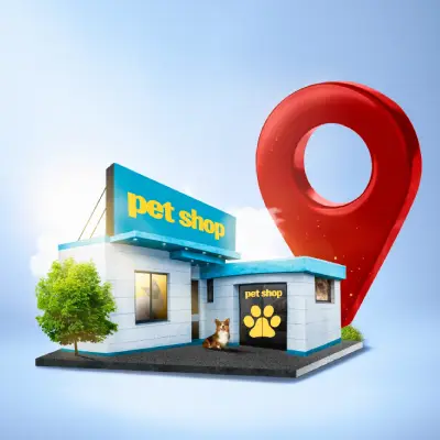 Fotoğraf ve İçerik Optimizasyonu